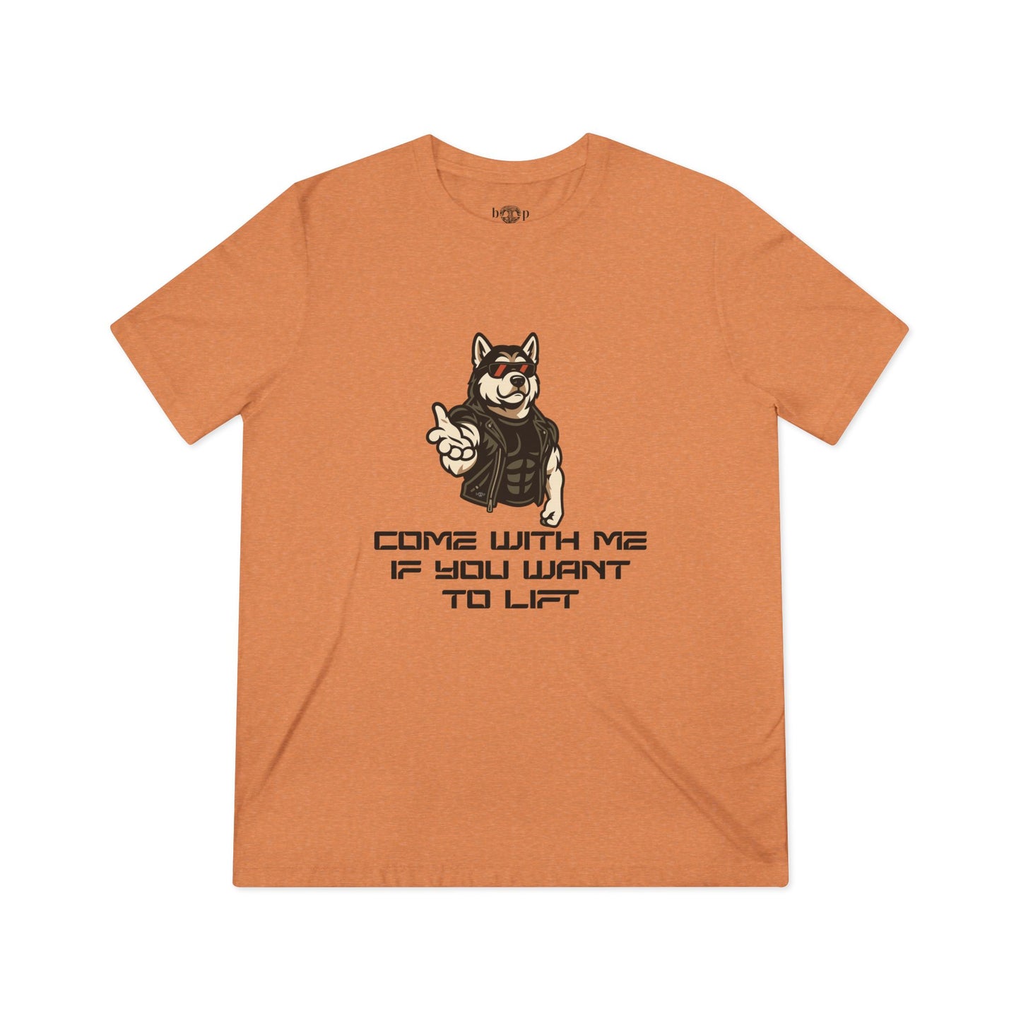 Come With Me - Unisex Triblend Tee