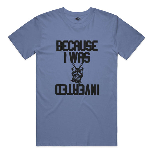 Because I Was Inverted - Heather T