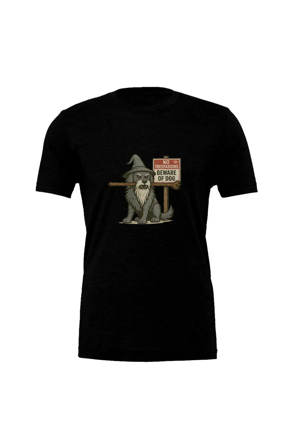 You Shall Not Pass - Triblend T