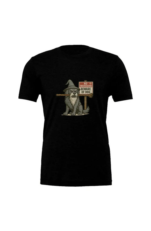 You Shall Not Pass - Triblend T