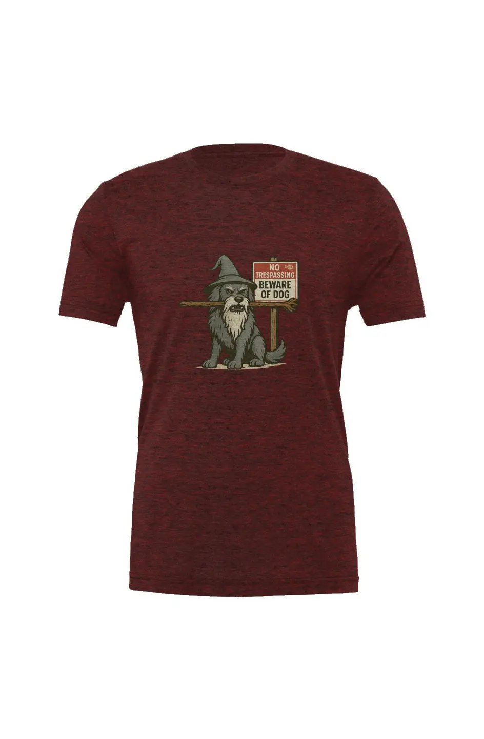 You Shall Not Pass - Triblend T