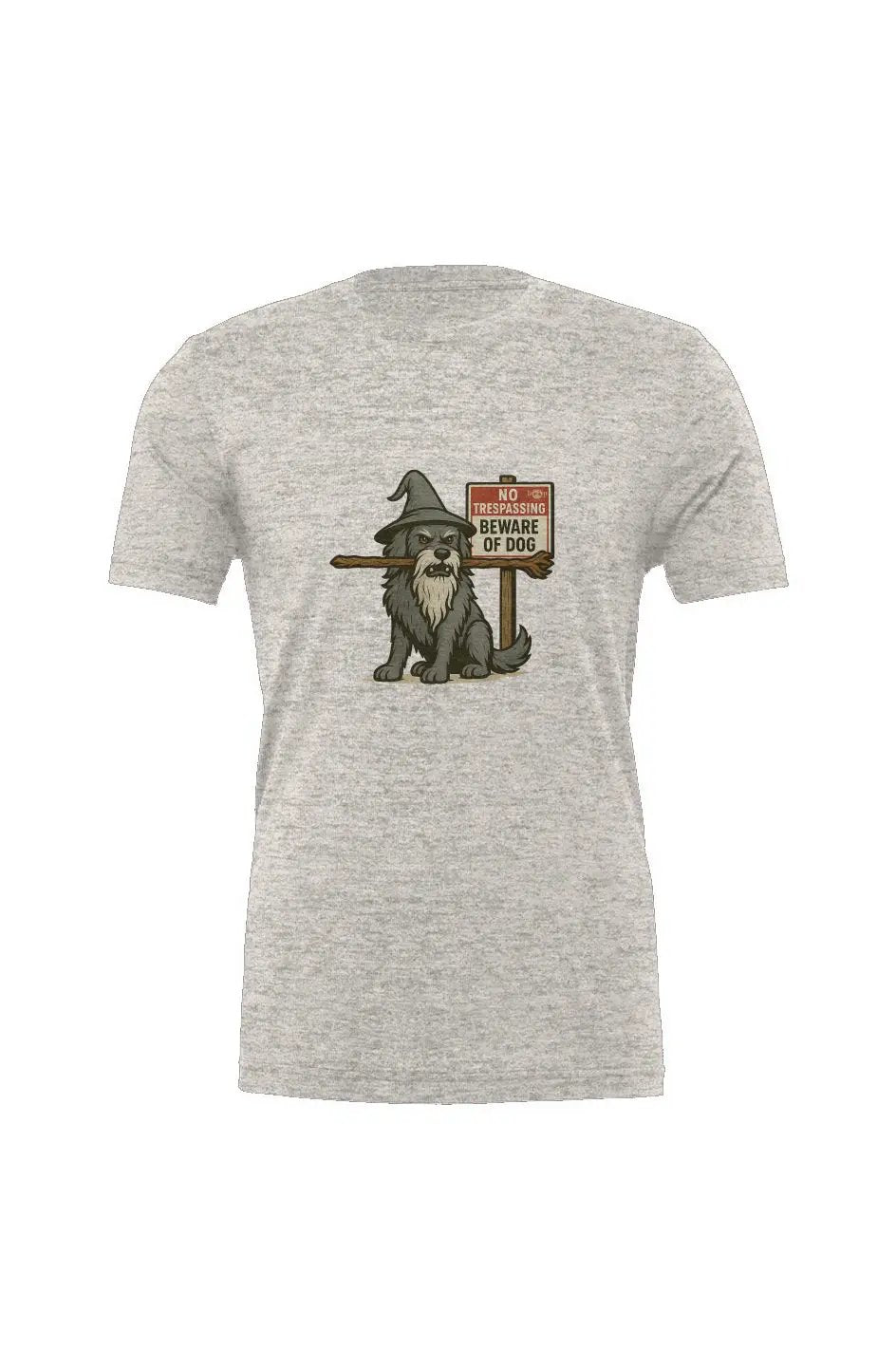 You Shall Not Pass - Triblend T Apliiq