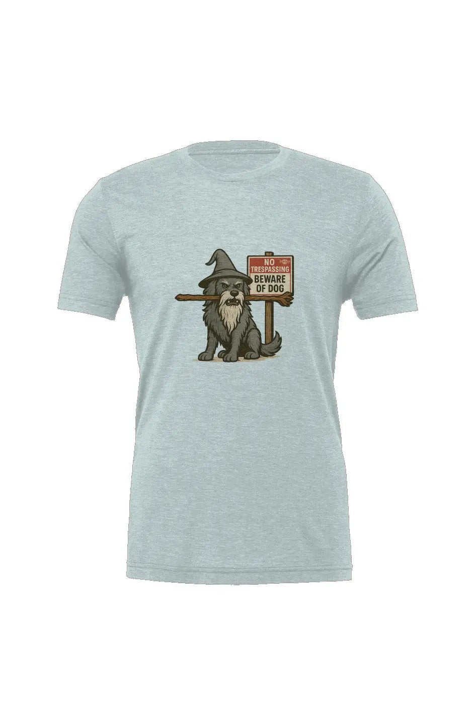 You Shall Not Pass - Triblend T Apliiq