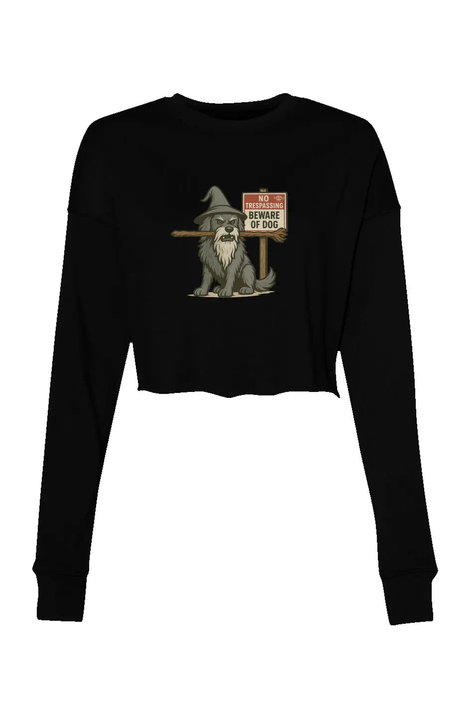 You Shall Not Pass - Crop Sweatshirt