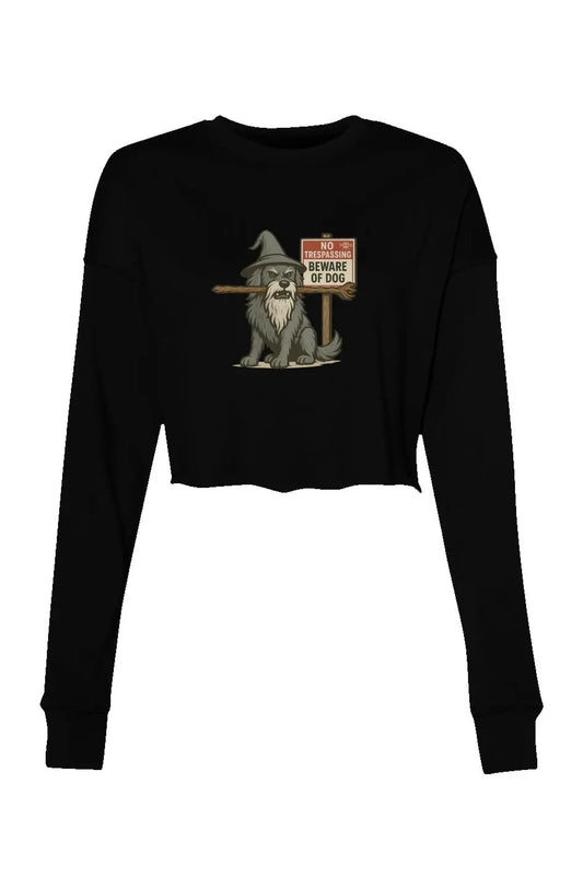 You Shall Not Pass - Crop Sweatshirt