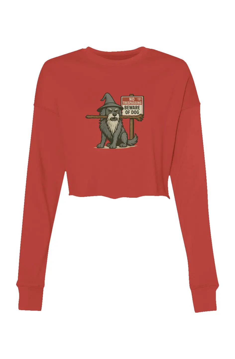 You Shall Not Pass - Crop Sweatshirt Apliiq