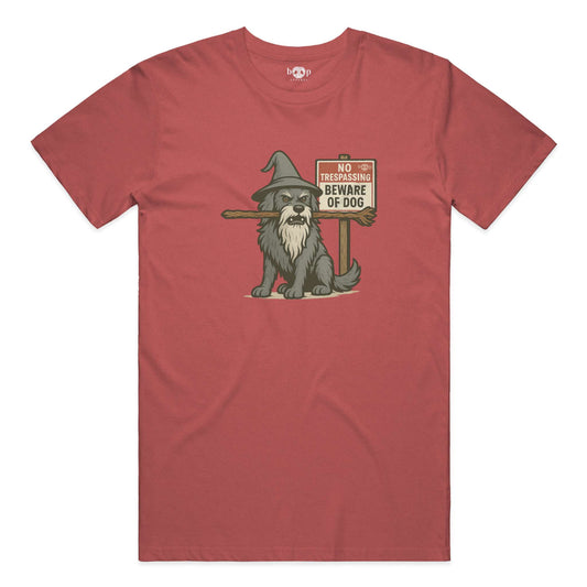 Funny dog owner t-shirt with sarcastic humor -You Shall Not Pass - Triblend T