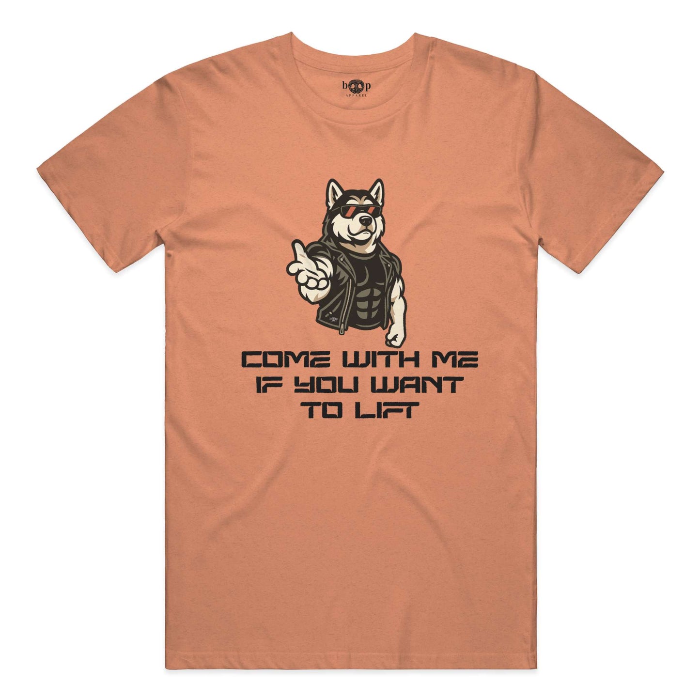 Funny dog owner t-shirt with sarcastic humor -Come With Me - Triblend T