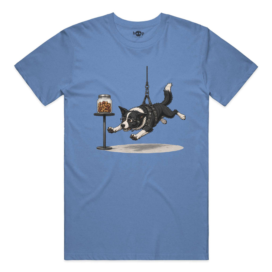 Collie