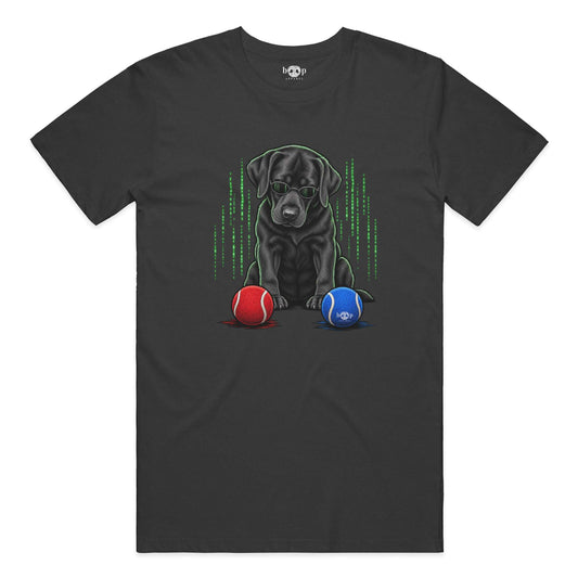 Down the Rabbit Hole Performance T