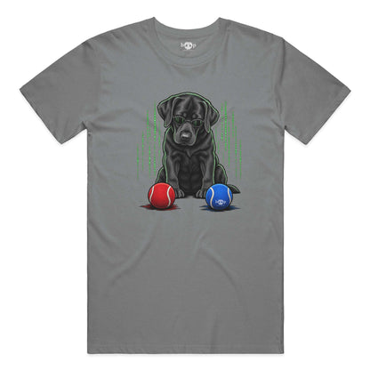 Down the Rabbit Hole Performance T