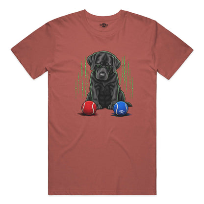 Down the Rabbit Hole Performance T in Clay Triblend