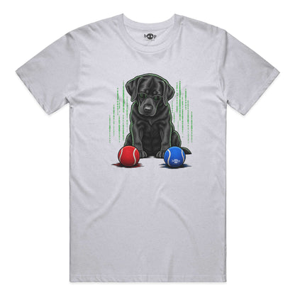 Down the Rabbit Hole Performance T in White Fleck Triblend