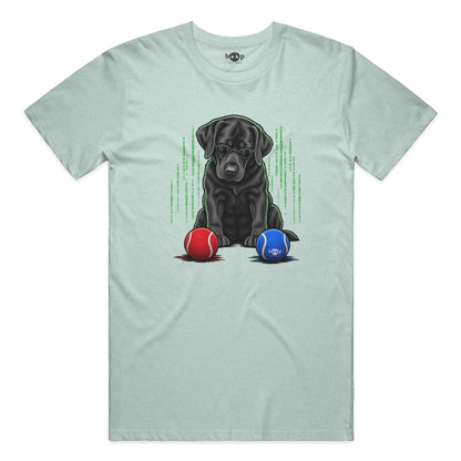 Down the Rabbit Hole Performance T in Dusty Blue Triblend