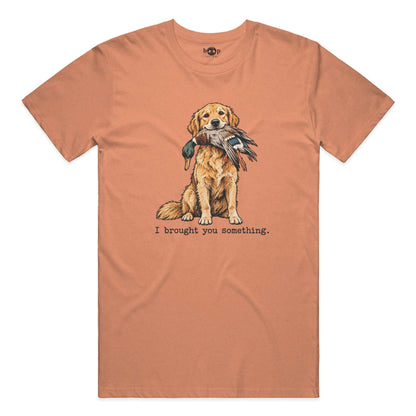 I Brought You Something Performance T in Orange Triblend