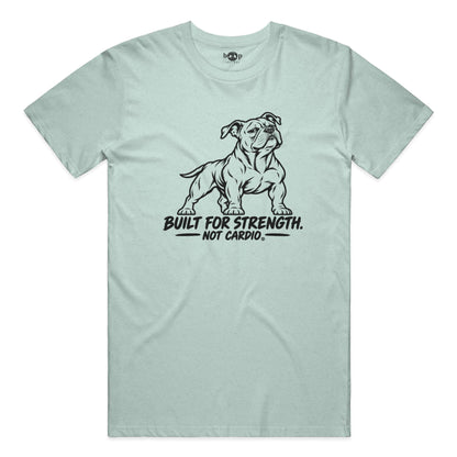 Built for Strength, Not Cardio Performance T in Dusty Blue Triblend