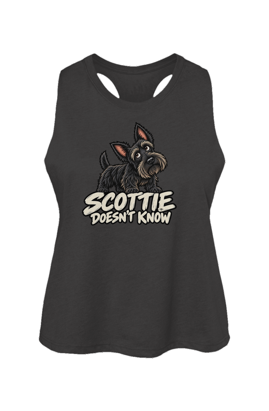 Scottie Doesn't Know Crop Tank in Dark Grey Heather