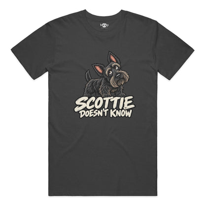 Scottie Doesn't Know Performance T in Solid Dark Grey Triblend