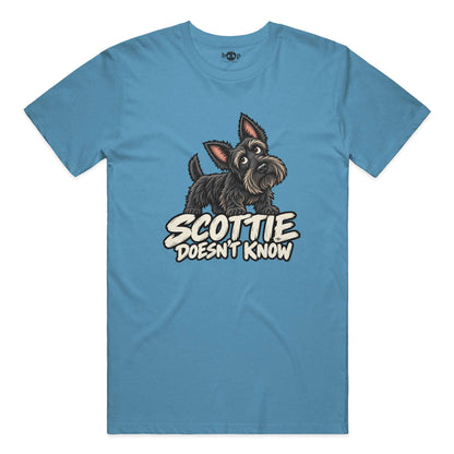 Scottie Doesn't Know Performance T in Aqua Triblend