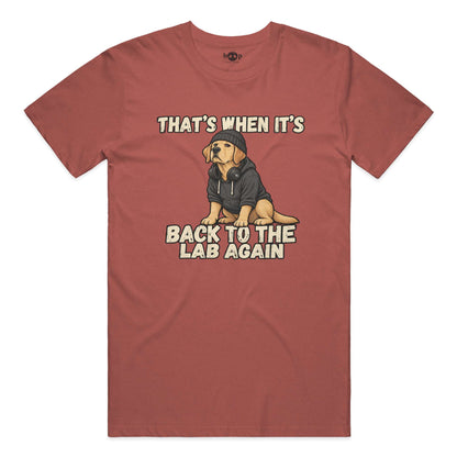 Back to the Lab Again Performance T in Clay Triblend