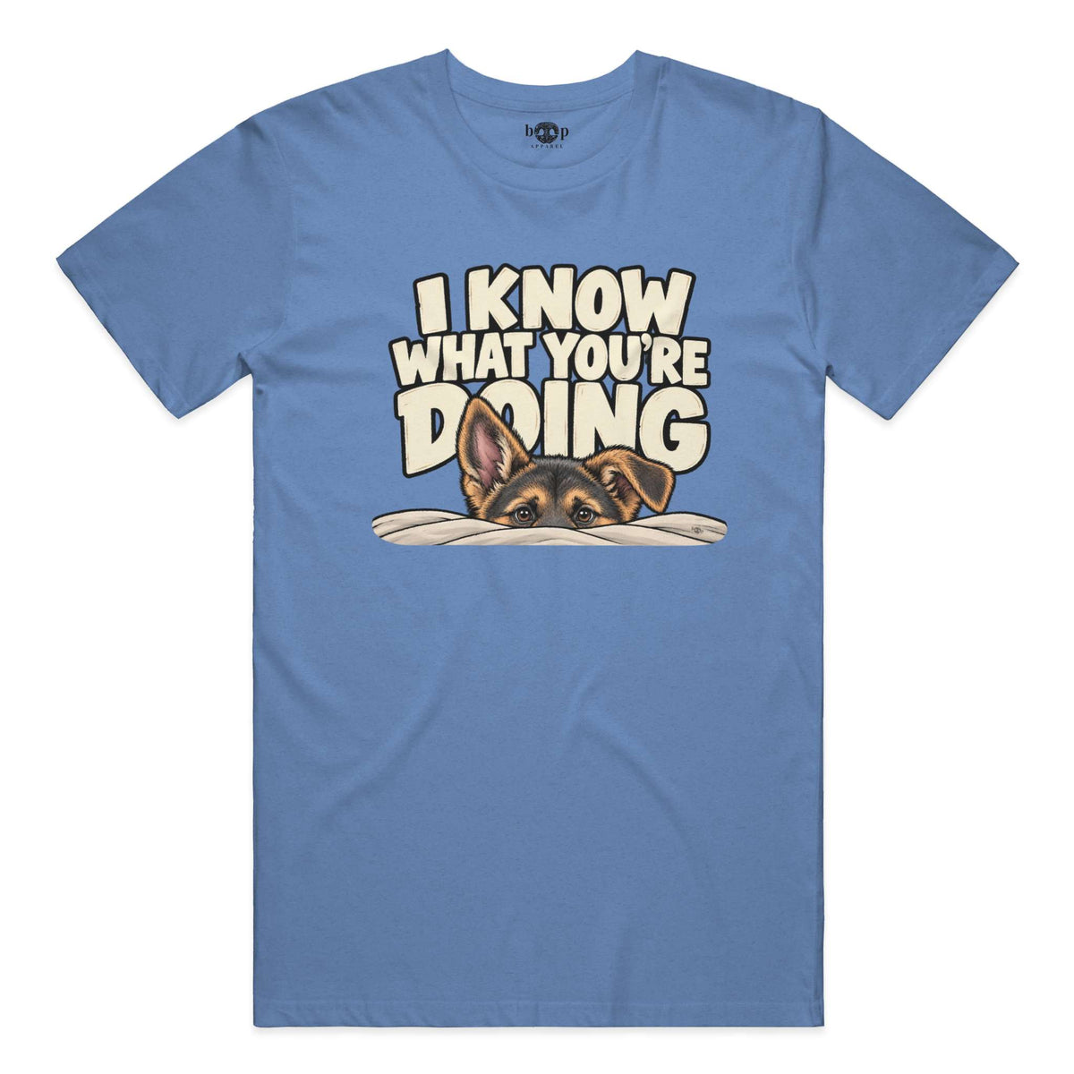 I Know What You're Doing Everyday T in Heather Columbia Blue
