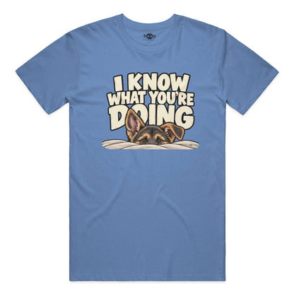 I Know What You're Doing Everyday T in Heather Columbia Blue