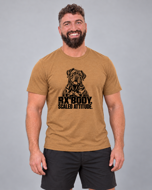 Dan wearing Rx Body. Scaled Attitude. Everyday T in Heather Autumn