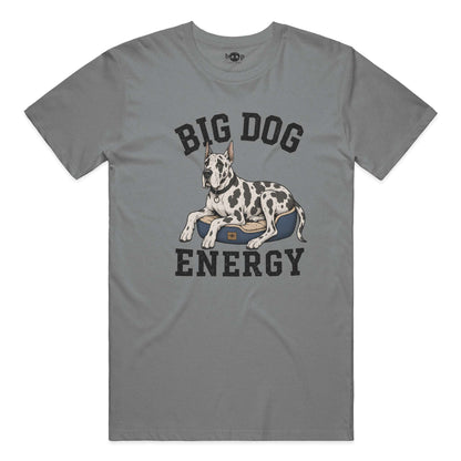 Big Dog Energy performance t in Grey Triblend