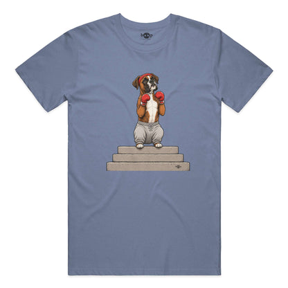 Boxer performance t in Blue Triblend