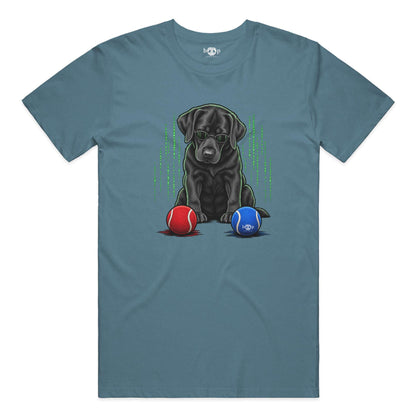 Down the Rabbit Hole Chocolate Lab movie parody design on Performance T