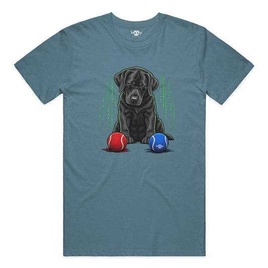 Down the Rabbit Hole Chocolate Lab movie parody design on Performance T