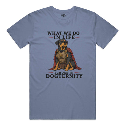 Echoes in Dogternity performance t in Blue Triblend