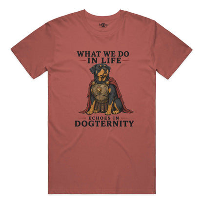 Echoes in Dogternity performance t in Clay Triblend