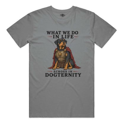 Echoes in Dogternity performance t in Grey Triblend