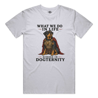 Echoes in Dogternity performance t in White Fleck Triblend