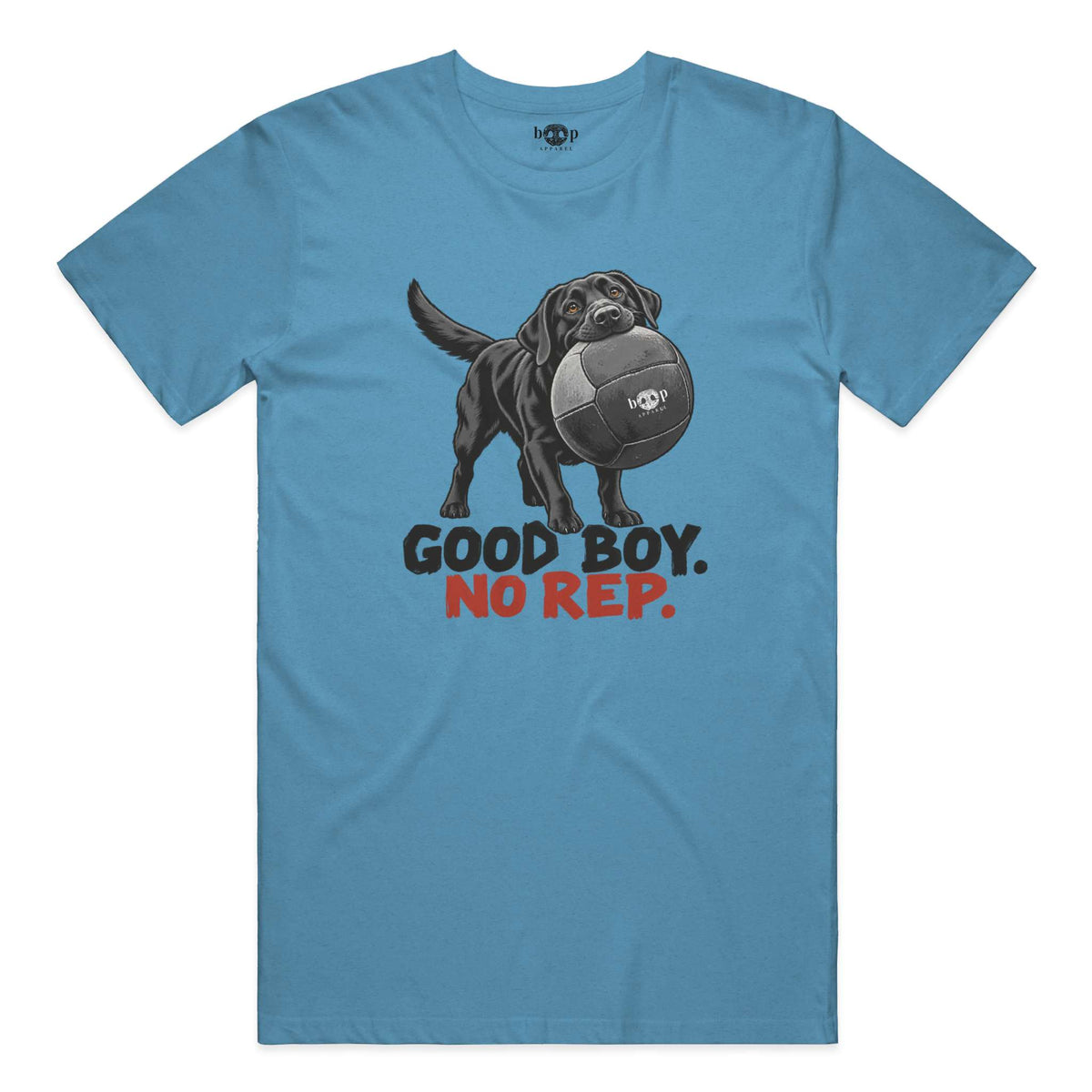 Good Boy No Rep performance t in Aqua Triblend