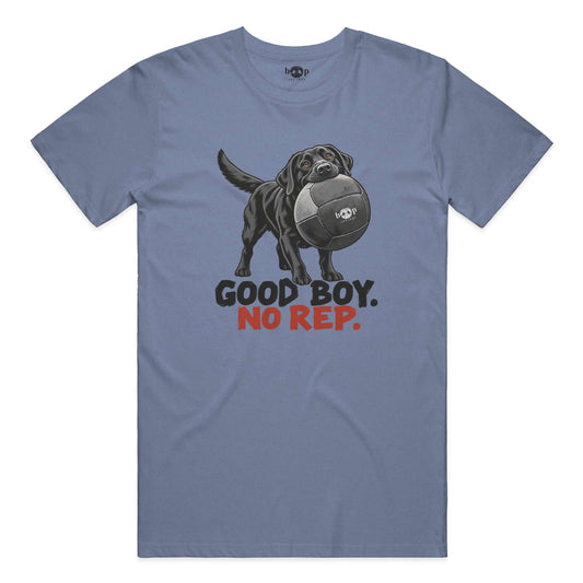 Good Boy No Rep performance t in Blue Triblend