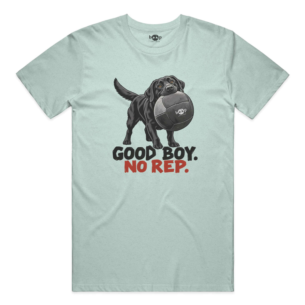 Good Boy No Rep performance t in Dusty Blue Triblend
