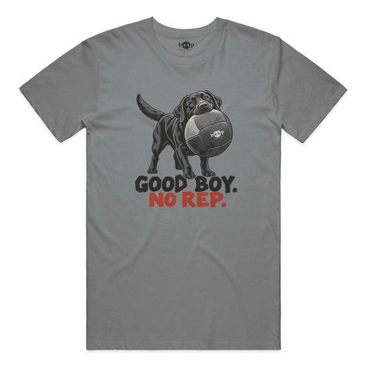 Good Boy No Rep performance t in Grey Triblend