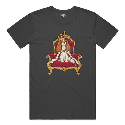 King Charles of the Cavaliers performance t in solid dark grey triblend