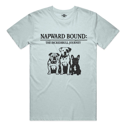 Napward Bound performance t in Ice Blue Triblend