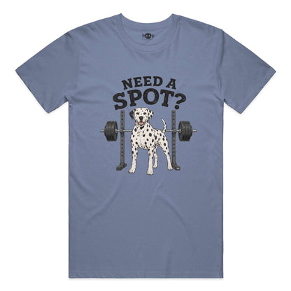 Need a Spot performance t in Blue Triblend