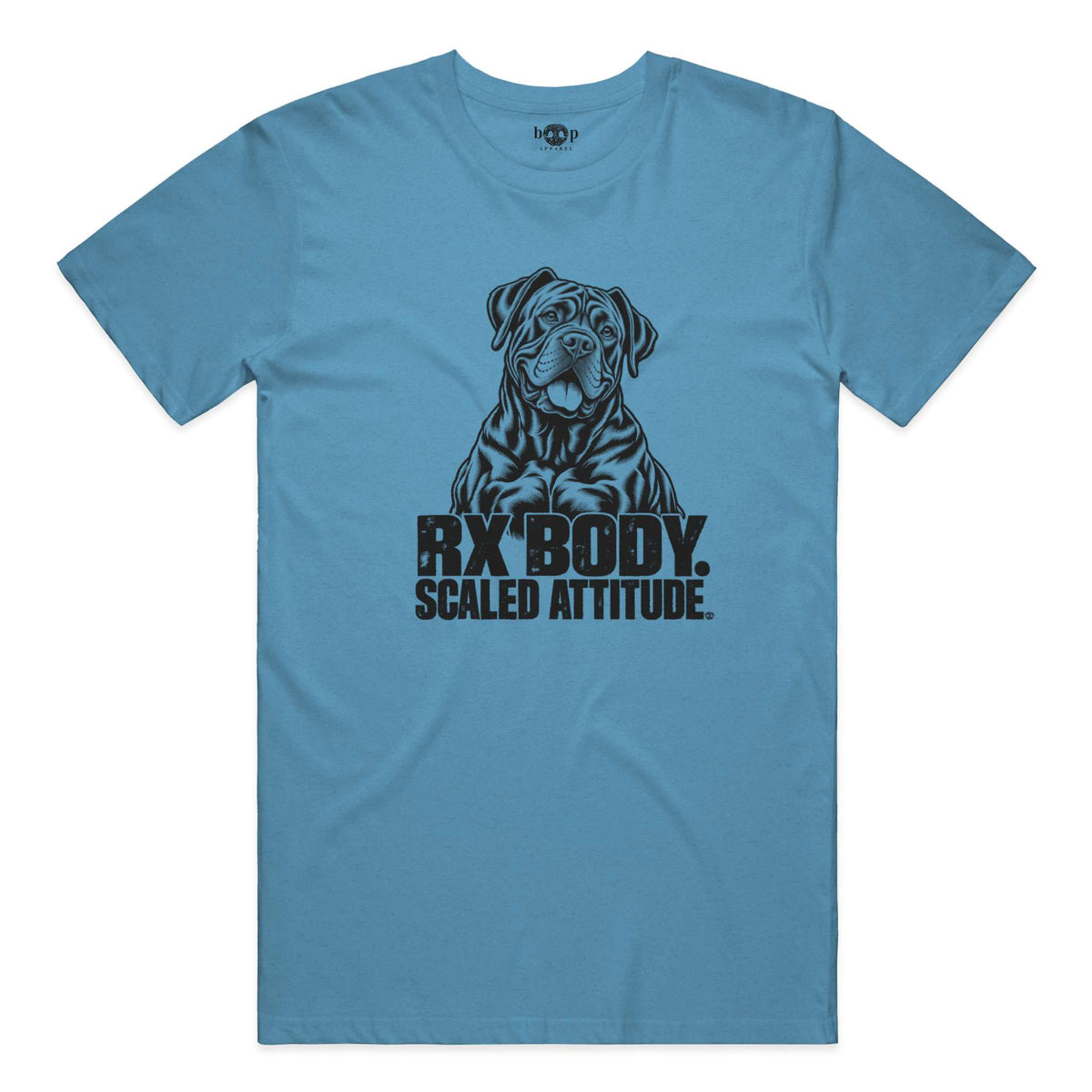 Rx Body Scaled Attitude performance t in Aqua Triblend