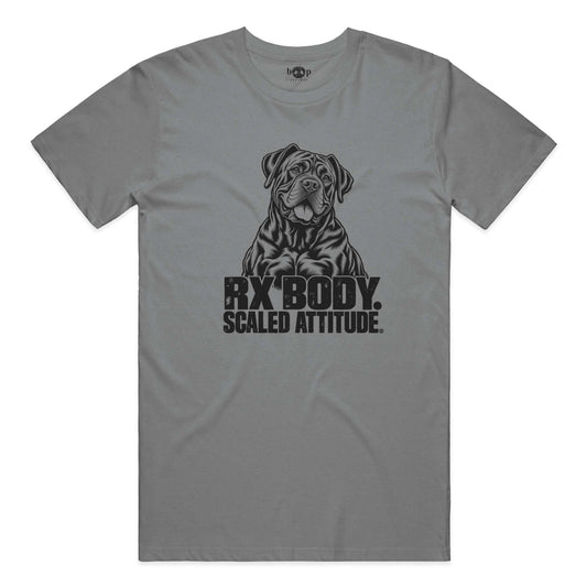 Rx Body Scaled Attitude performance t in Grey Triblend