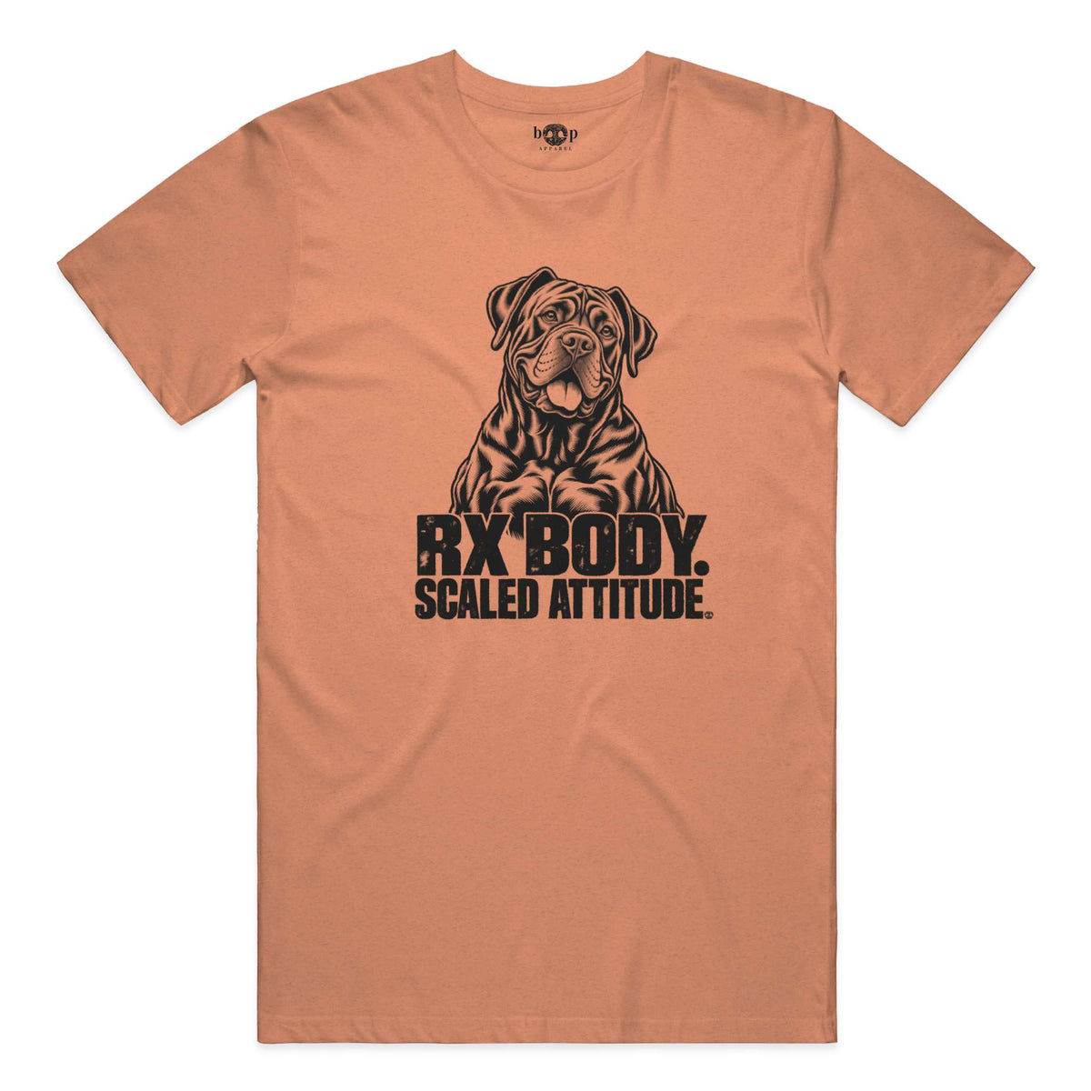 Rx Body Scaled Attitude performance t in Orange Triblend
