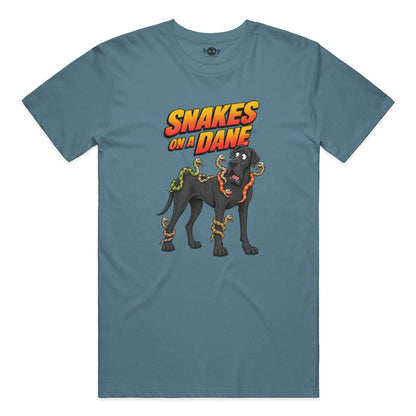 Snakes on a Dane performance t in Solid Slate Triblend