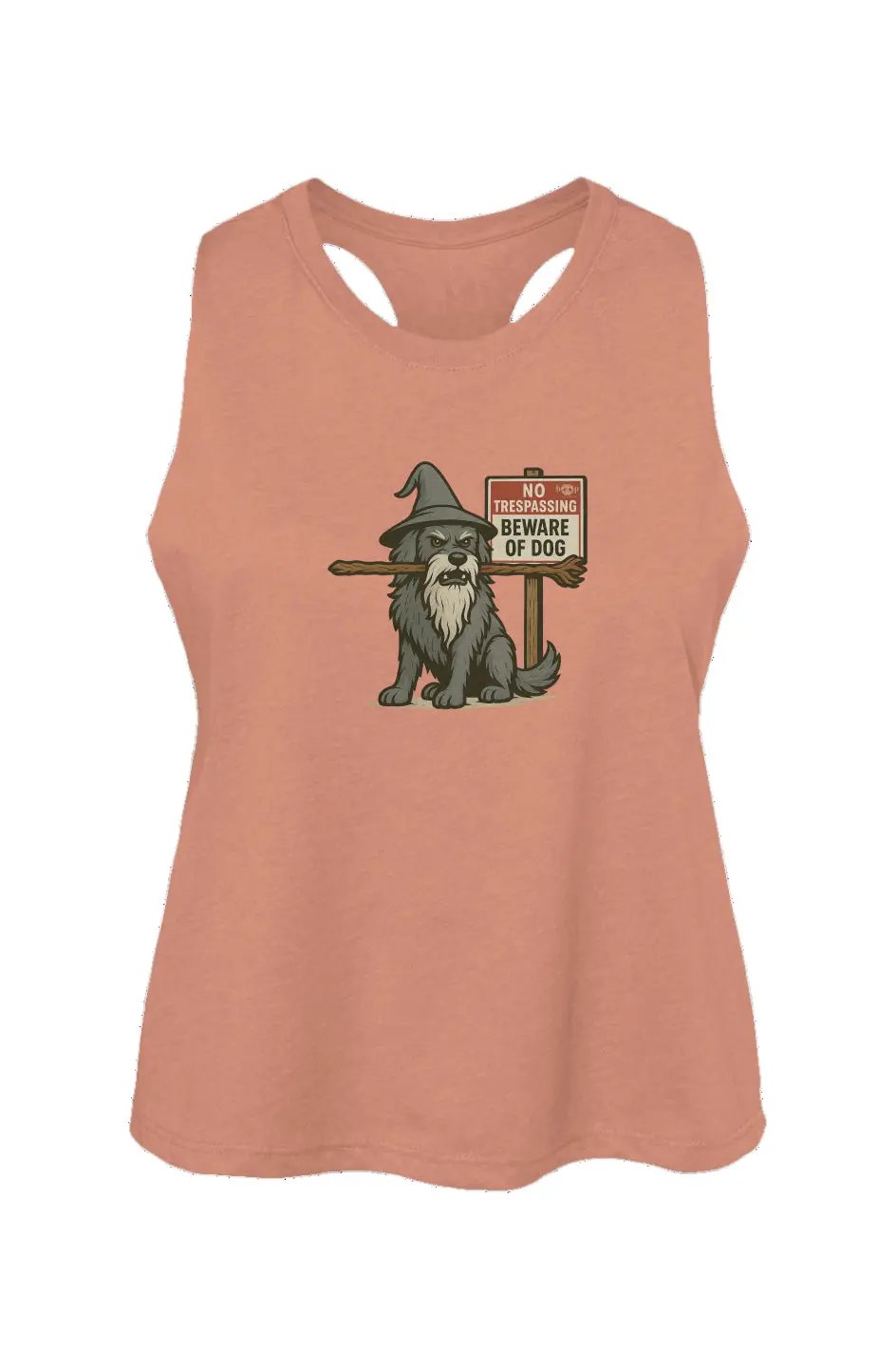 You Shall Not Pass crop tank in Heather Sunset