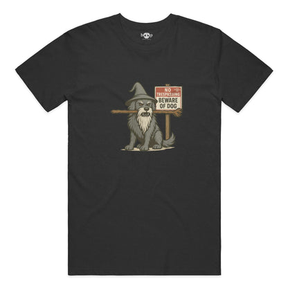 You Shall Not Pass everyday t in black heather