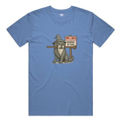 You Shall Not Pass everyday t in Heather Columbia Blue