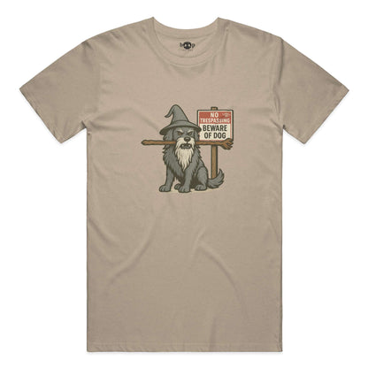 You Shall Not Pass everyday t in Heather Tan